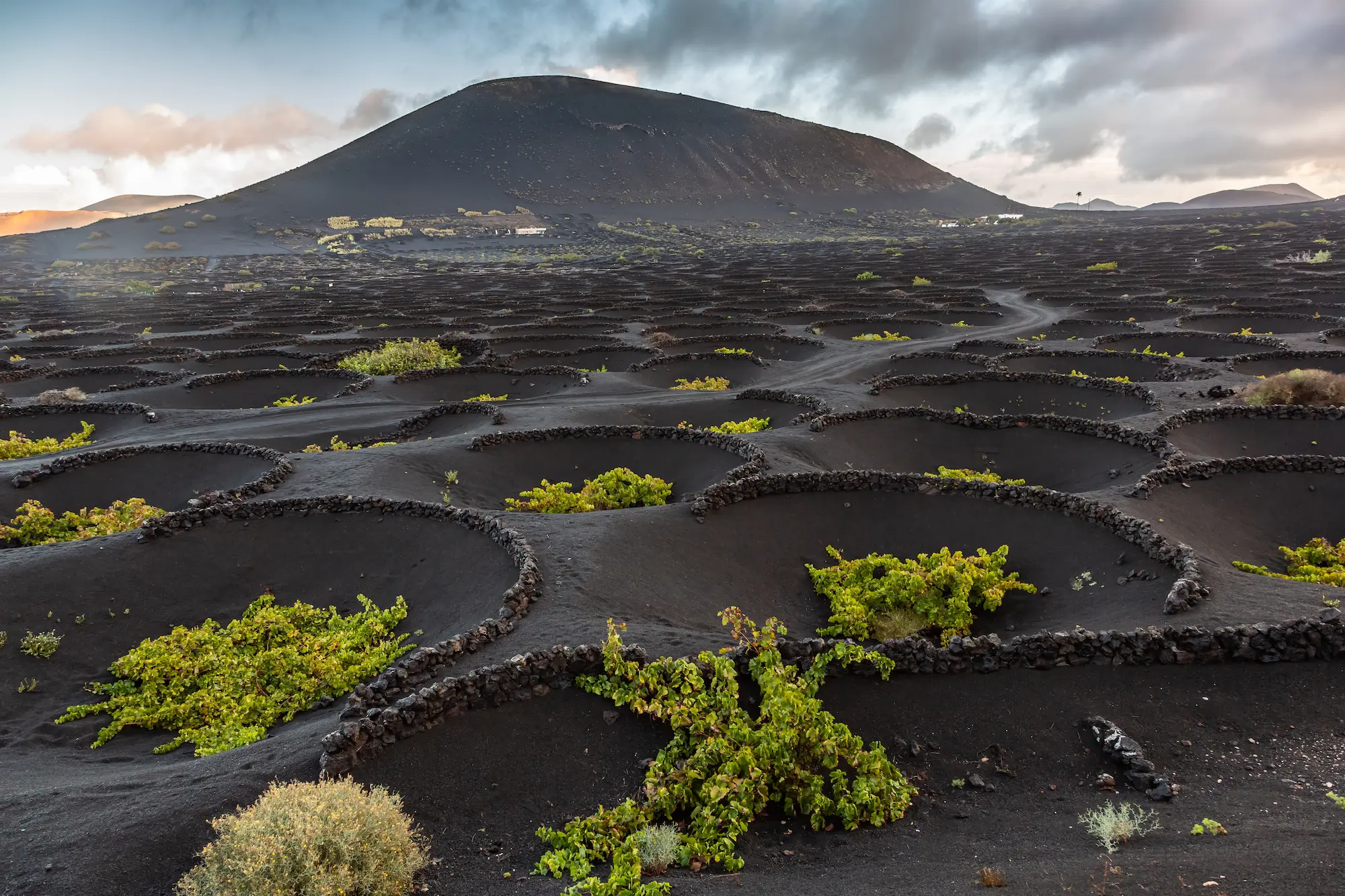 Lanzarote