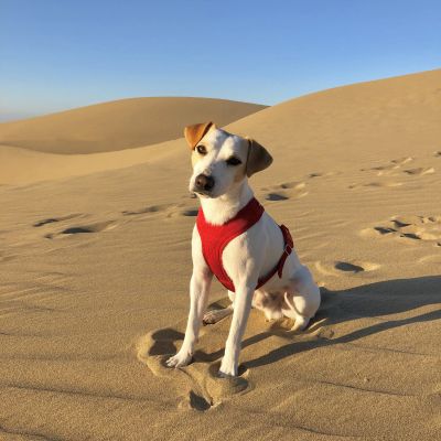 Maspalomas